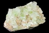 Zoned Apophyllite Crystals on Heulandite - India #135828-2